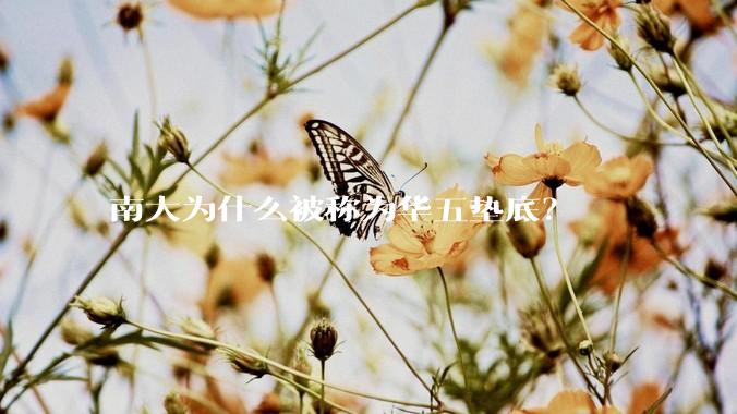 南大为什么被称为华五垫底？