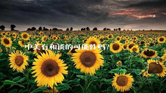中美有和谈的可能性吗？