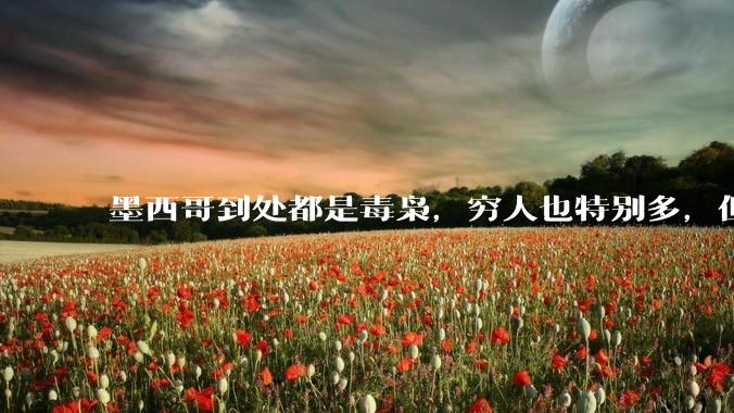墨西哥到处都是毒枭，穷人也特别多，但为什么他们的护照能免签那么多发达国家（包括日本英国，美国除外）?