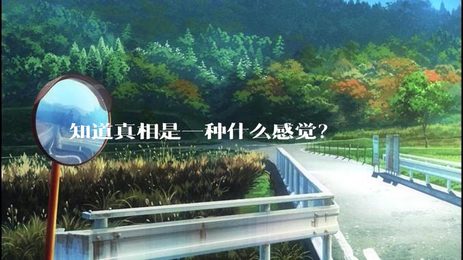 知道真相是一种什么感觉？