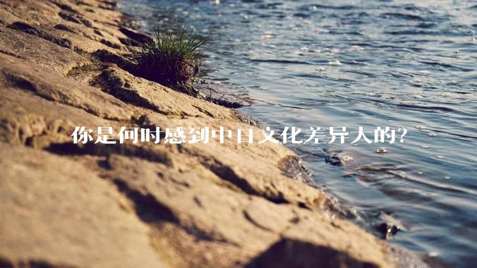 你是何时感到中日文化差异大的？