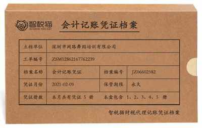 企业代理记账案例-深圳市网路舞蹈培训有限公司记账案例